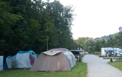 Kamp Polje