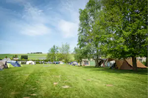 Camping Pont de Berguème - Zeltwiese auf dem Campingplatz