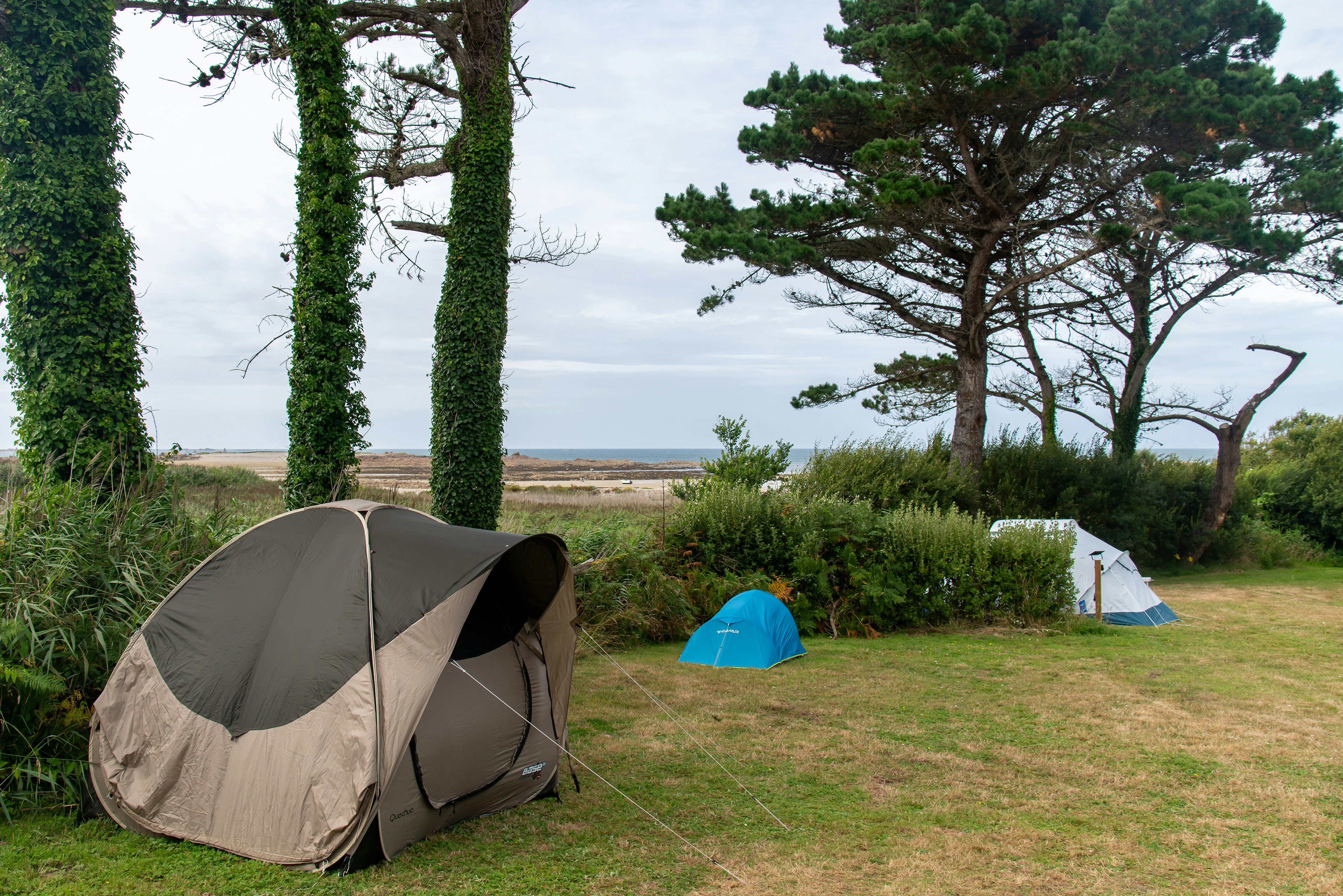 Flower Camping Le Port de la Chaine  Camping Port la Chaîne - Zeltwiese auf dem Campingplatz