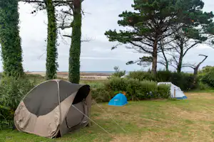 Flower Camping Le Port de la Chaine Camping Port la Chaîne - Zeltwiese auf dem Campingplatz