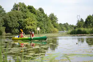 Zwei Personen paddeln mit einem gelben Kanu auf einem See, im Hintergrund dichtes Grün und Schilf am Ufer.