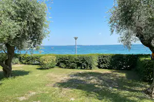 Grüner Campingplatz mit Rasenfläche, Hecke und zwei Bäumen; Blick auf den See und einen Steg in der Ferne.