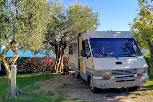 Wohnmobil auf einem Campingplatz am Weg, neben Olivenbäumen und Hecken, mit Rasenfläche im Vordergrund.