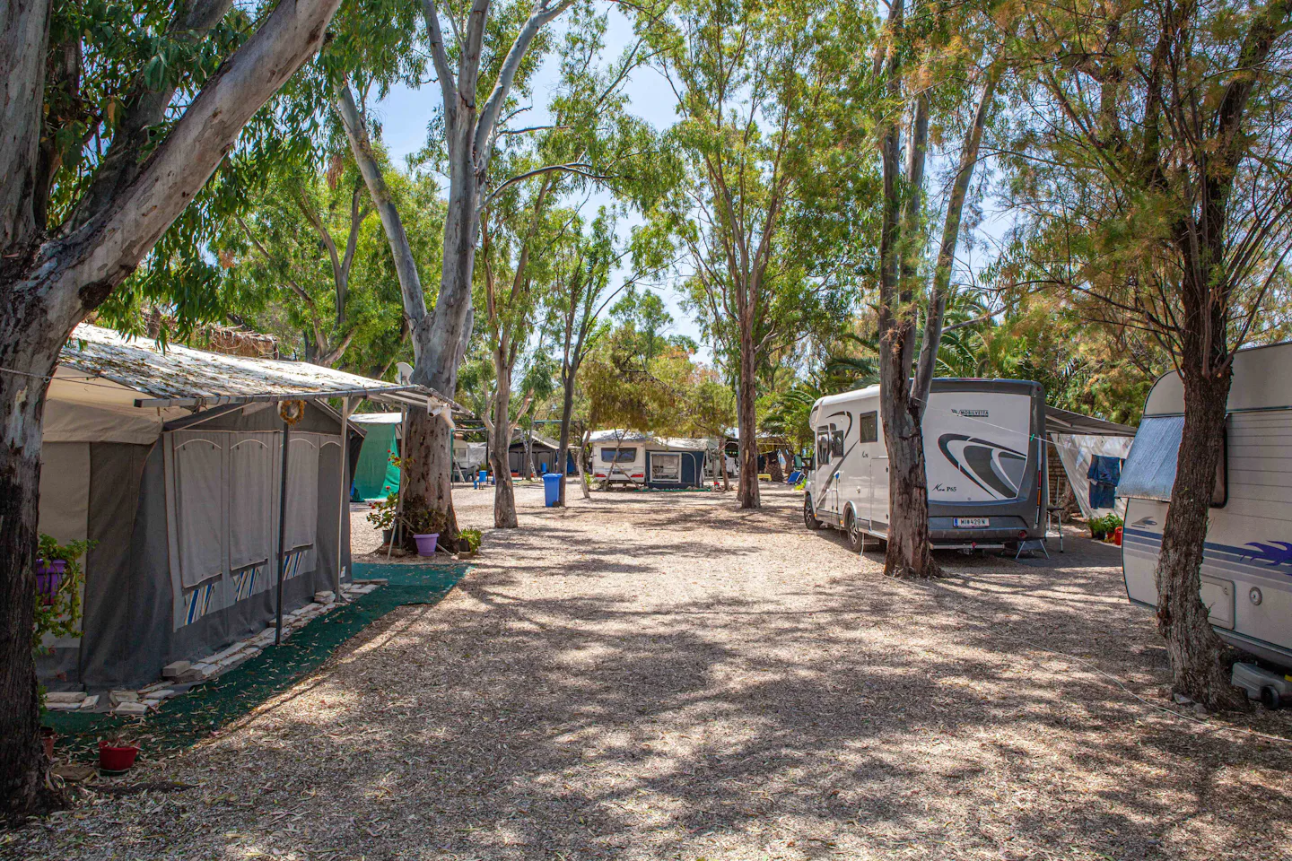 Camping Posidon