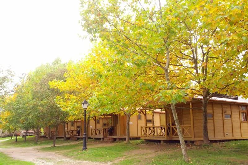 Camping Prados Abiertos - Mobilheime des Campingplatzes von Bäume umgeben