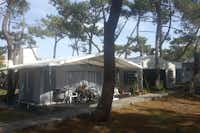 Camping Praia da Barra - Wohnmobilstellplätze unter Bäumen auf dem Campingplatz  