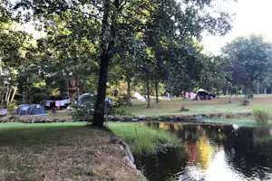 Camping Pré Vologne - Standplätze zwischen den Bäumen auf dem Campingplatz