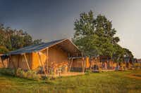 Camping Prima - Safari-Zelte auf grüner Wiese auf dem Campingplatz