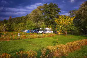 Camping Prima - Wohnwagenstellplätze mit Stromanschluss zwischen den Bäumen auf dem Campingplatz