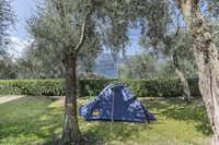 Camping Primavera -  Stellplätze mit Blick auf den Garda See 