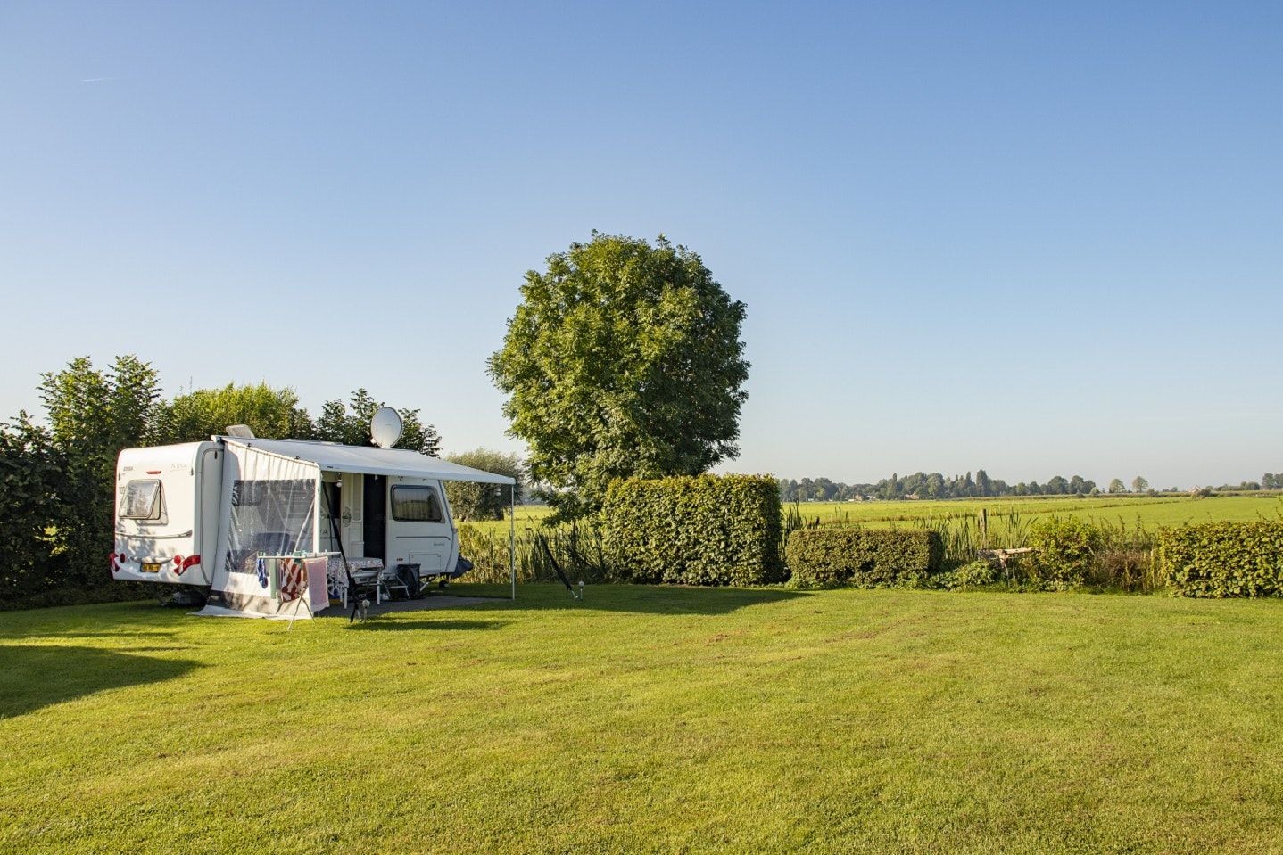 Camping Prinsenhof - Blick auf die Standplätze auf der Wiese