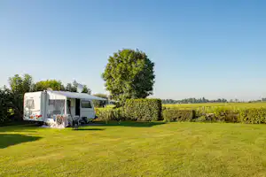 Camping Prinsenhof - Blick auf die Standplätze auf der Wiese