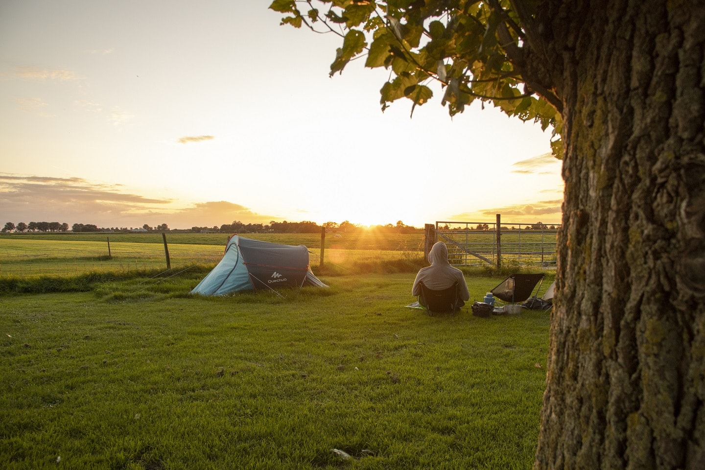 Camping Prinsenhof - Blick auf die Zeltwiese bei Sonnenuntergang