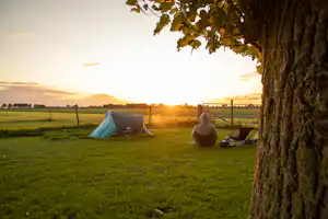 Camping Prinsenhof - Blick auf die Zeltwiese bei Sonnenuntergang