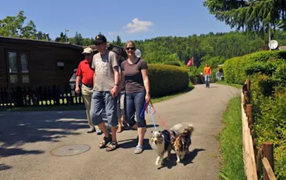 Camping Prêles