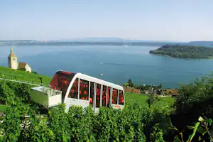 Bus fährt durch einen Weingarten am Fluss, im Hintergrund ein Dorf und ein Kirchturm am Ufer.