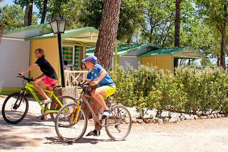 Camping Provençal  -  Camper mit Fahrrädern an den Mobilheimen vom Campingplatz im Grünen