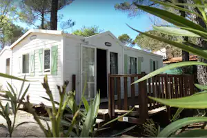 Mobilheim mit Holzveranda und grünen Fensterläden im Campinggarten, umrahmt von Büschen und Palmenblättern.