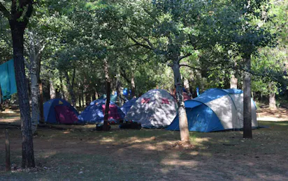 Camping Puente de las Herrerias