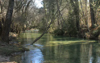 Camping Puente de las Herrerias
