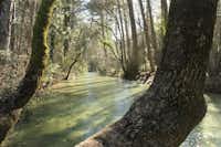 Camping Puente de las Herrerias - Der Fluss mit Bäumen