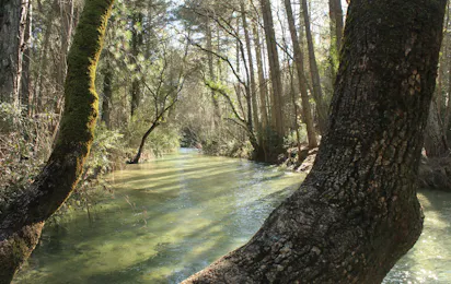Camping Puente de las Herrerias
