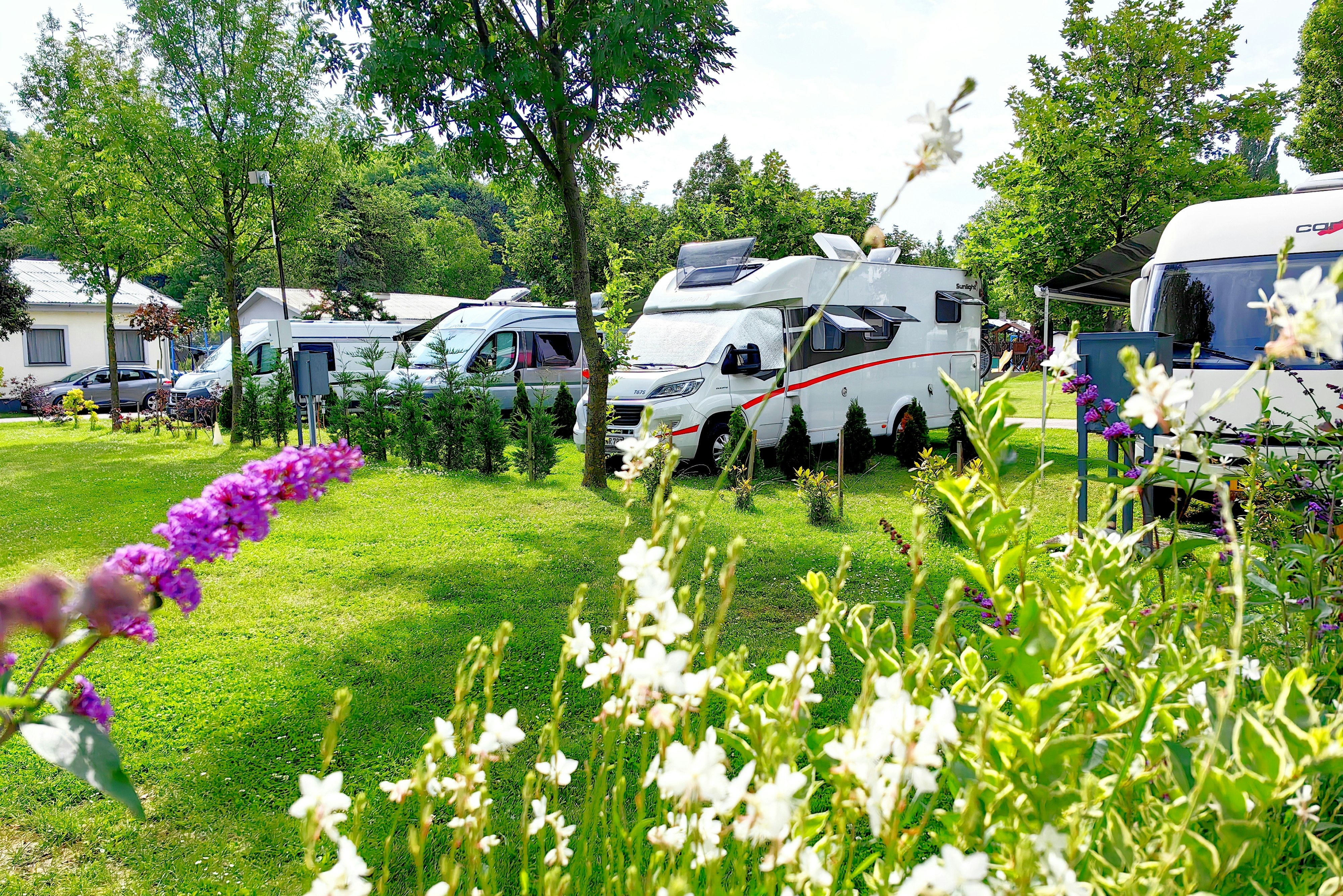 Camping Pullmann - Standplätze im Grünen umgeben von Blumen