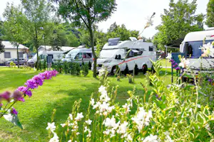 Wohnmobile auf einem grünen Campingplatz, umgeben von Bäumen und Hecken, im Vordergrund blühende Blumen.