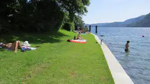 274185363.jpg