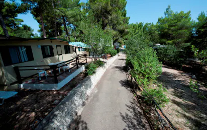 Camping Punta Lunga