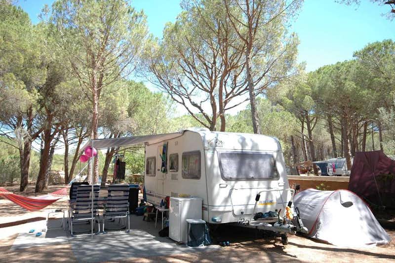 Camping Punta Milà  Yelloh! Village Punta Milà - Wohnwagen- und Zeltstellplatz vom Campingplatz zwischen Bäumen in Katalonien