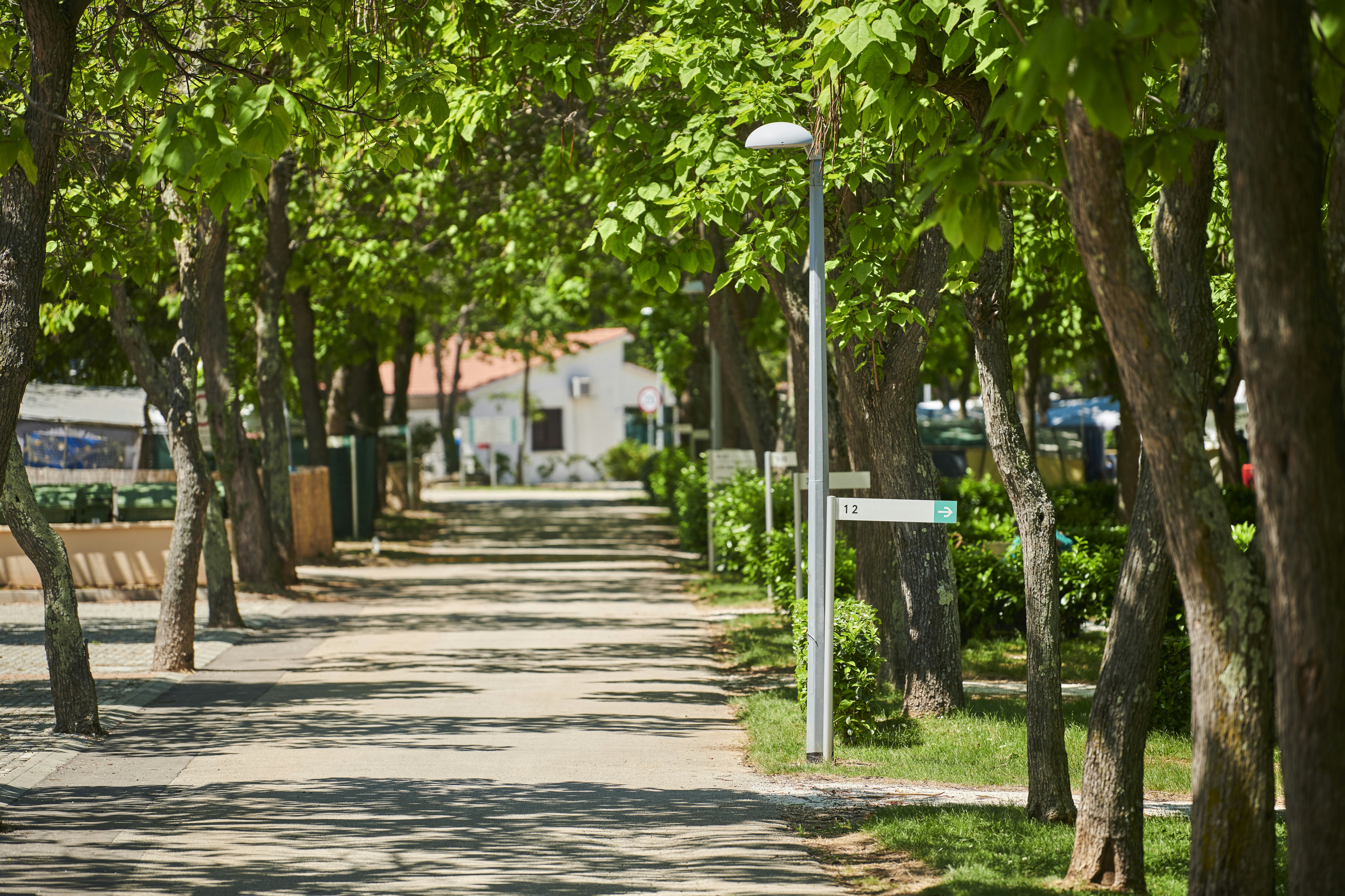 Camping Puntica - Standplätze auf dem Campingplatz