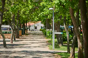 Camping Puntica - Standplätze auf dem Campingplatz