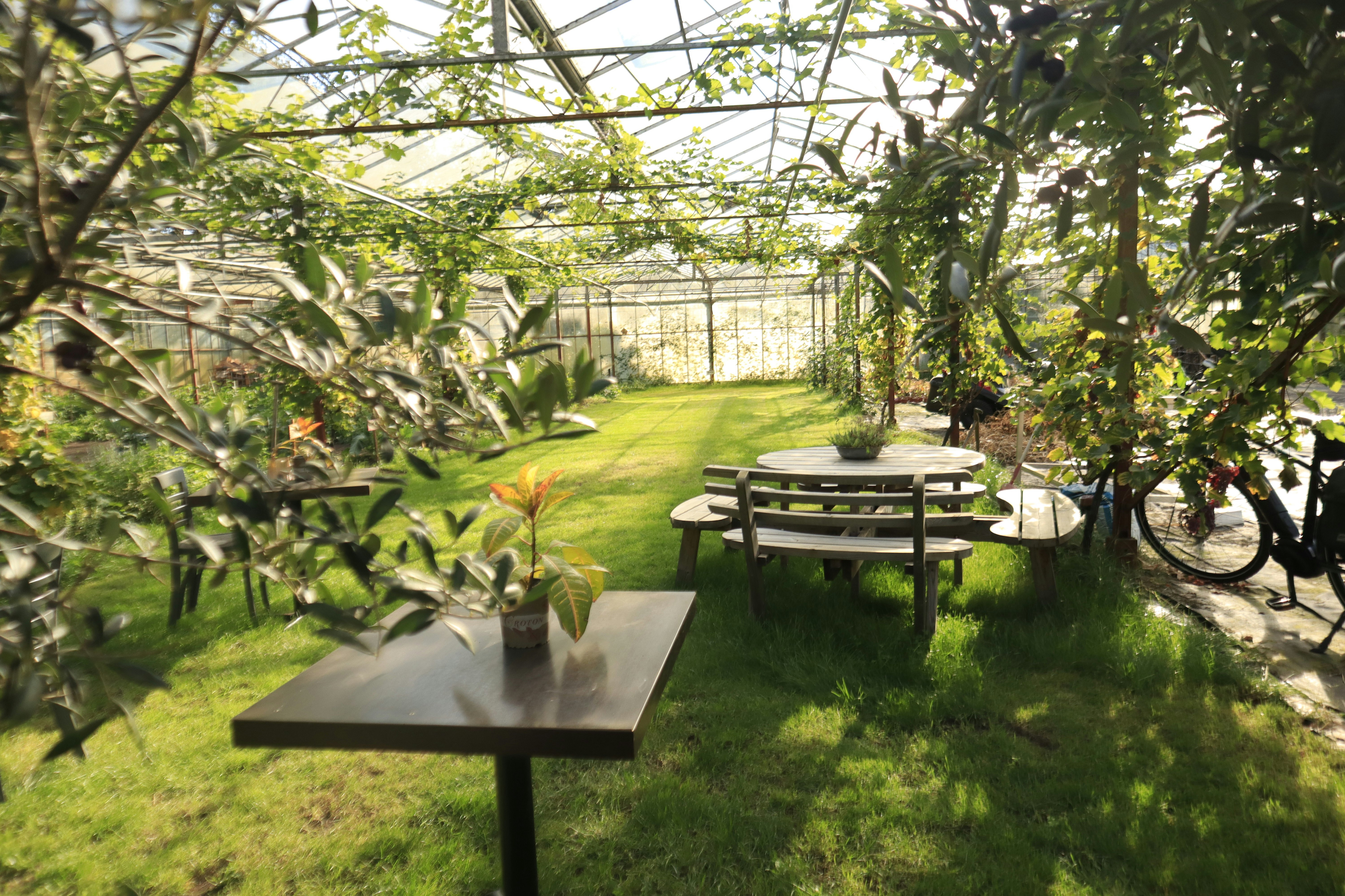 Camping Puur Berkshire - Blick auf das Gewächshaus des Campingplatzes