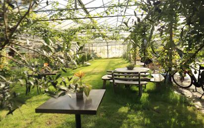 Camping Puur Berkshire