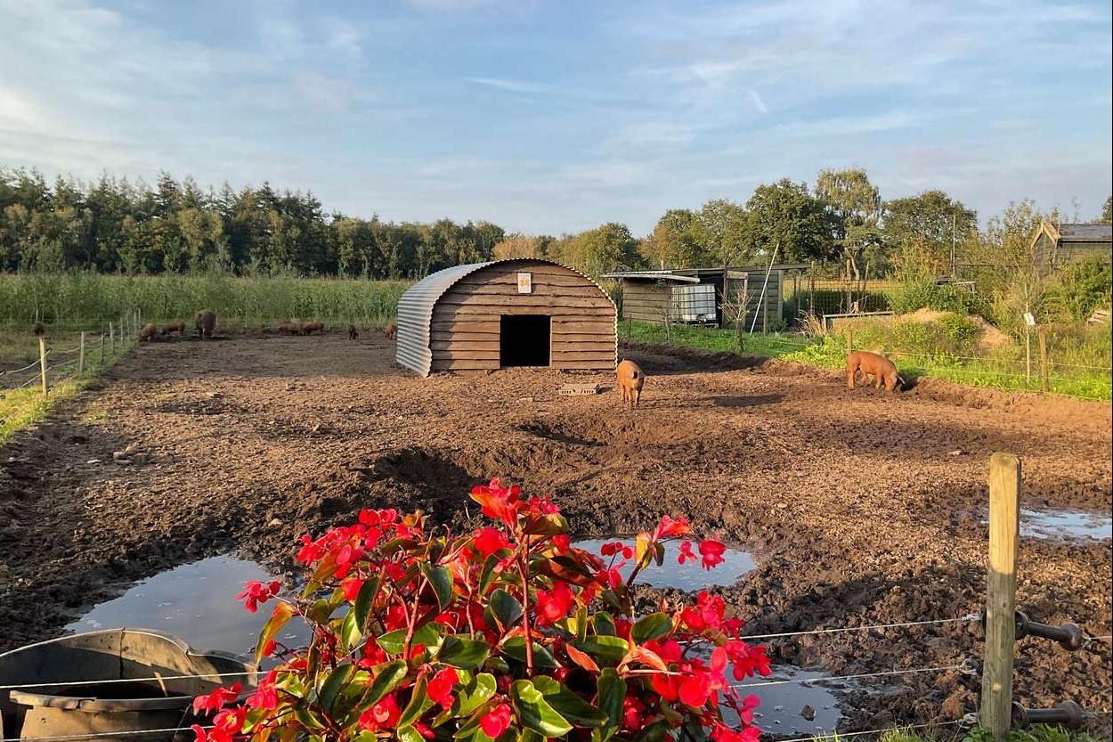 Camping Puur Berkshire