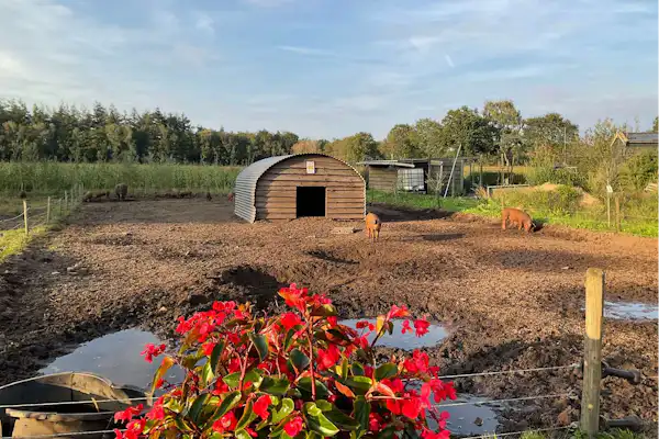 Camping Puur Berkshire