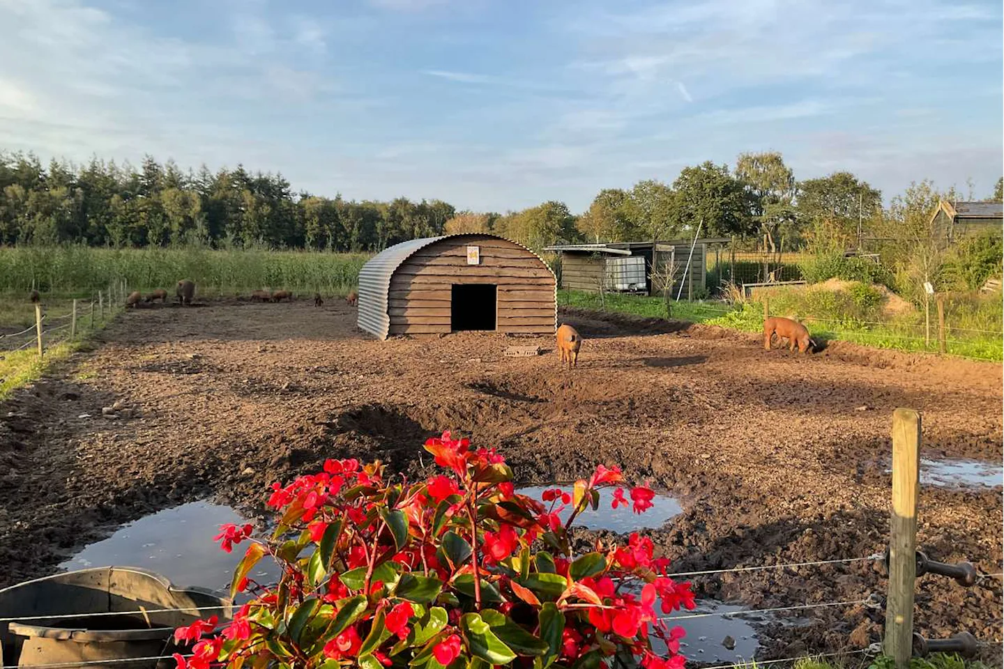 Camping Puur Berkshire