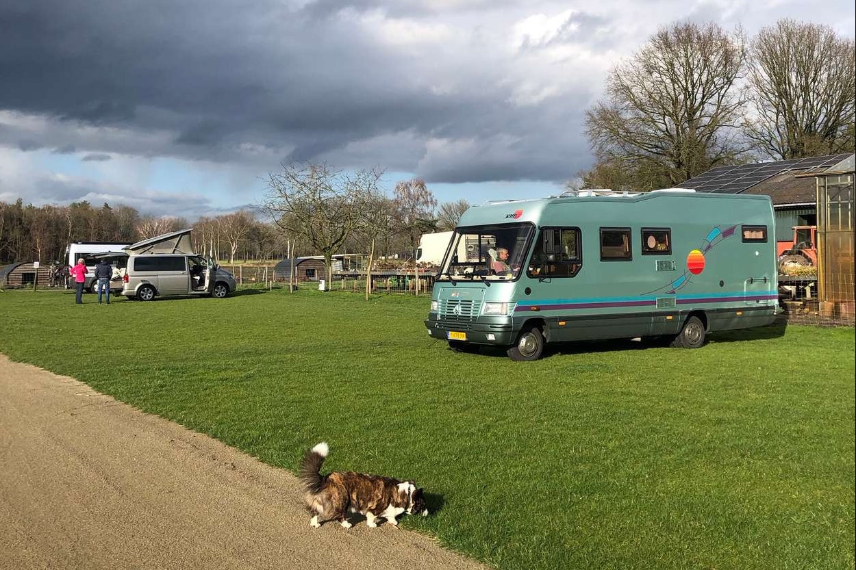 Camping Puur Berkshire - Blick auf die Standplätze auf der Wiese