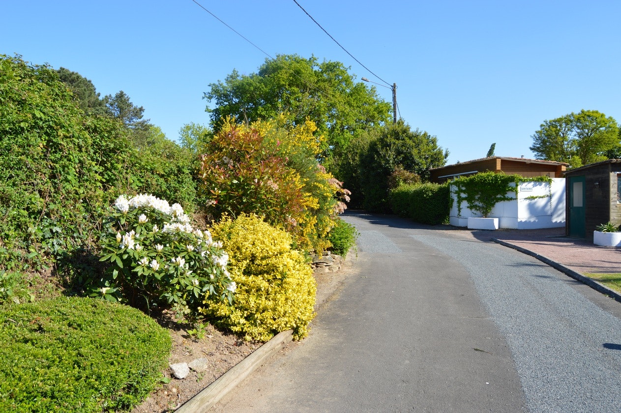 Asphaltweg im Campingbereich mit Hecken und Blumenbeet, rechts weiße Mülltonnen und Gebäude, links dichtes Grün.