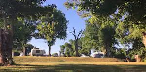 Wohnwagen und Wohnmobil auf einem Campingplatz am Rand einer Wiese, umgeben von hohen Bäumen und einem Weg.