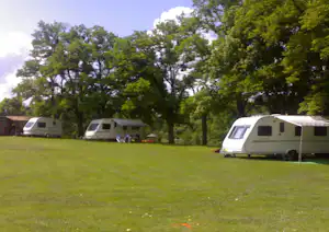 Mehrere Wohnwagen auf einer grünen Campingwiese, umgeben von hohen Bäumen und einem hellen Himmel.