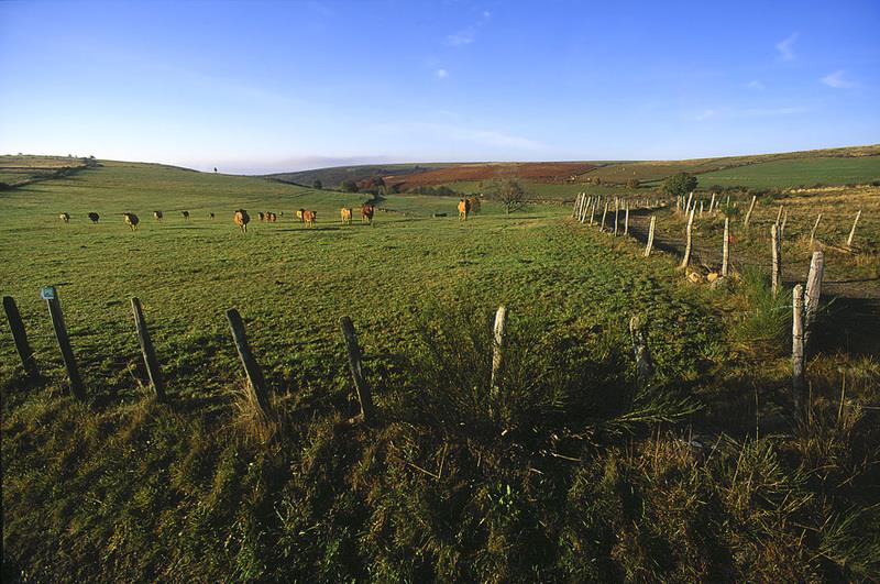 Weite grüne Landschaft mit Zaun und Weiden, im Hintergrund Hügel und Felder unter klarem Himmel.