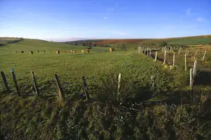 Weite grüne Hügel mit Weidezaun und Gras, Blick über das Landschaftsgebiet bei klarem Himmel.