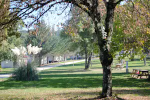 Grüner Rasen und Bäume auf dem Campingplatz, Weg und Sitzbänke am Rand, im Hintergrund Zelte und Berge.