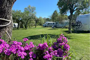 Camping Quinta da Cerejeira - Standplätze auf dem Campingplatz