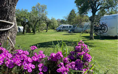 Camping Quinta da Cerejeira