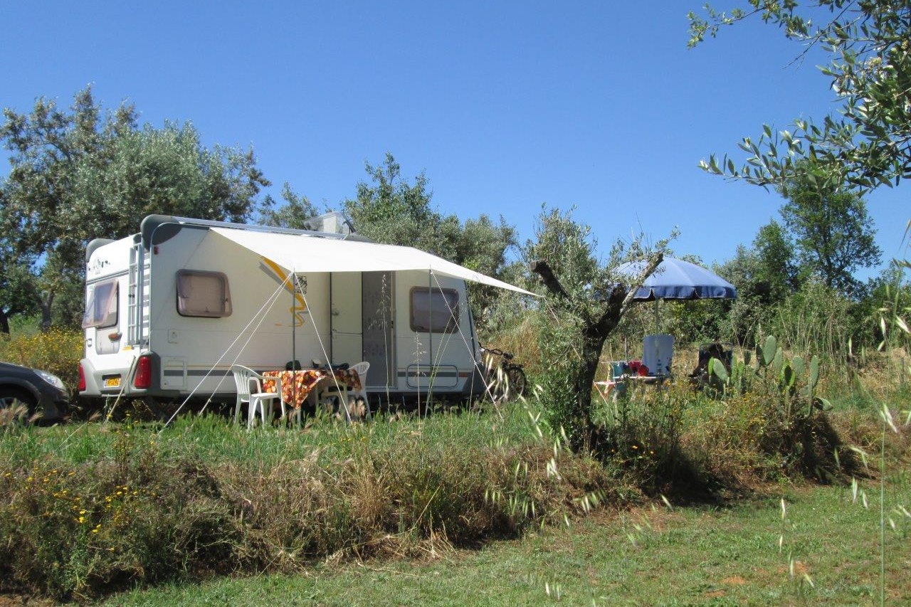 Camping Quinta da Cerejeira - Standplätze auf dem Campingplatz