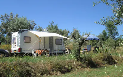 Camping Quinta da Cerejeira