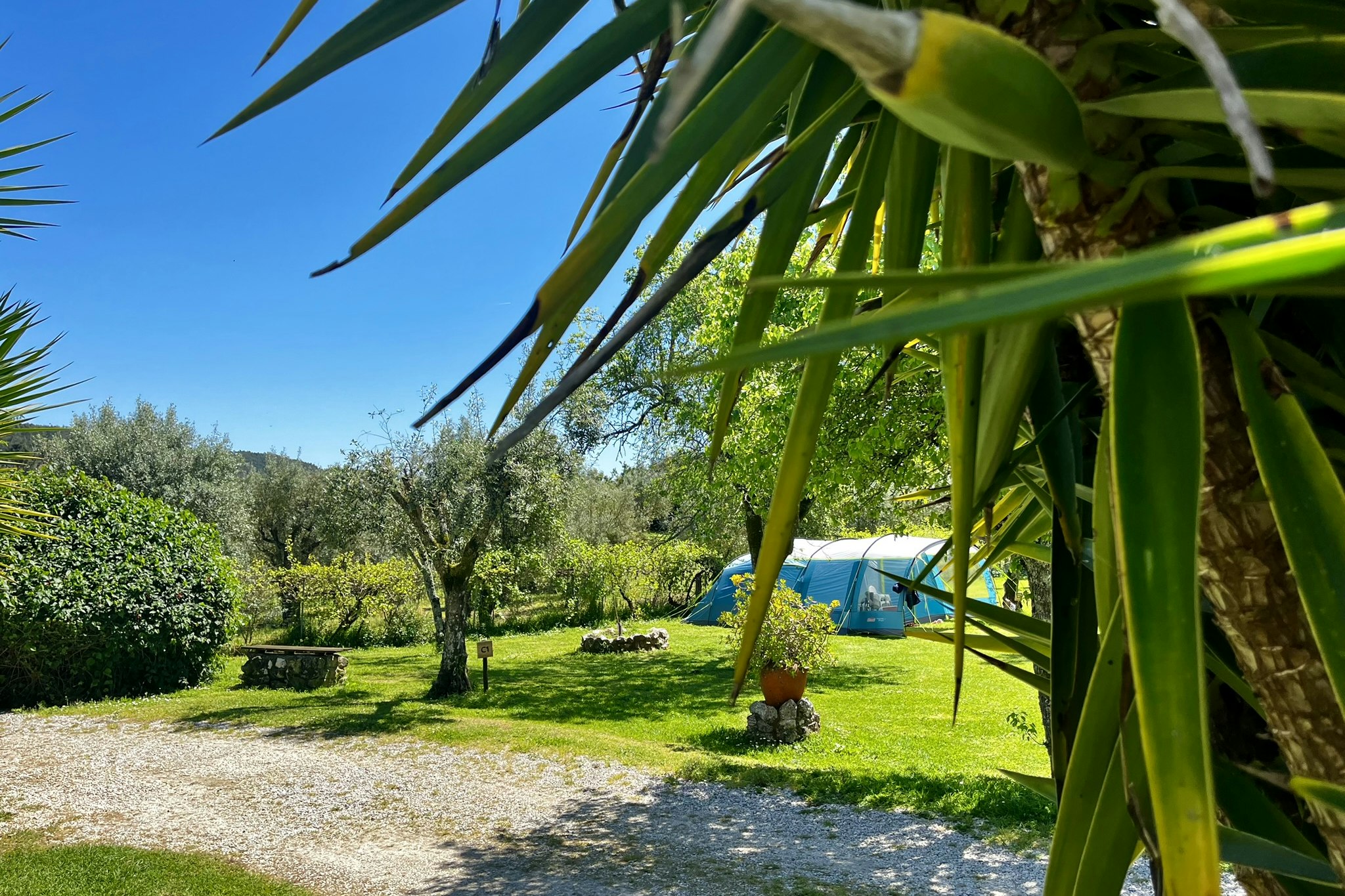 Camping Quinta da Cerejeira - Zeltplatz auf dem Campingplatz